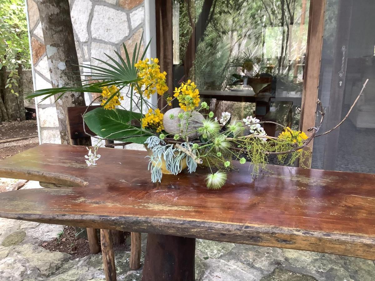 Escarabajo Rojo Bed & Breakfast Tulum Luaran gambar