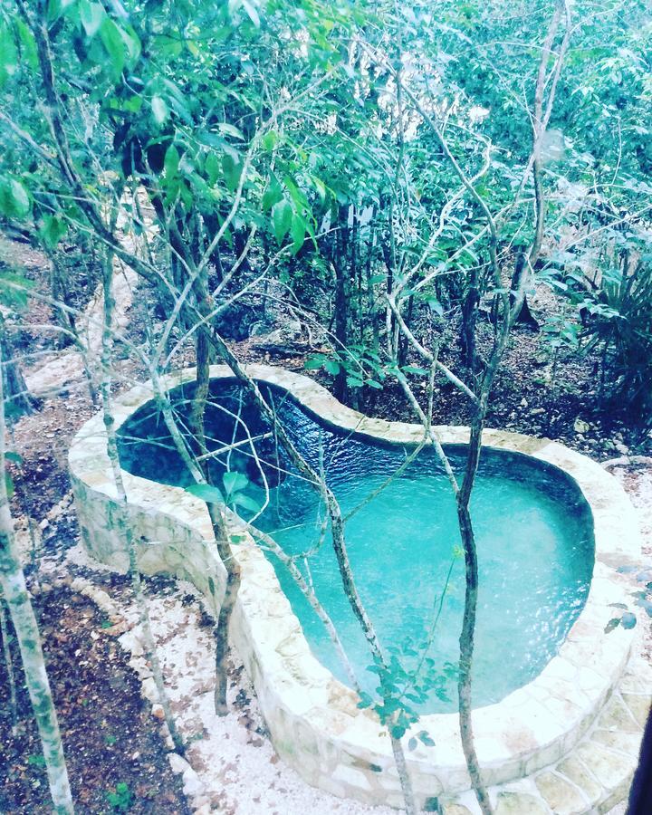 Escarabajo Rojo Bed & Breakfast Tulum Luaran gambar
