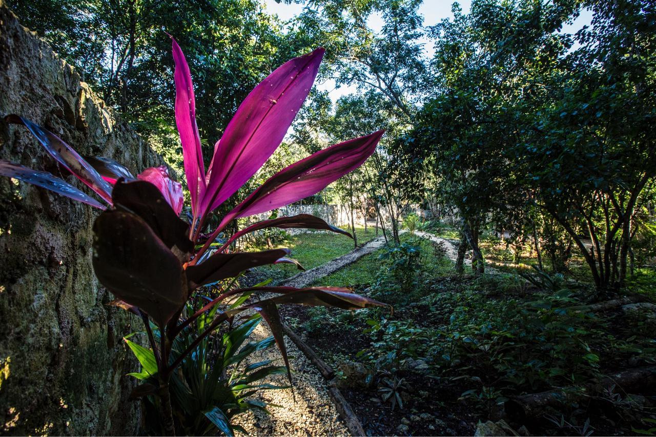 Escarabajo Rojo Bed & Breakfast Tulum Luaran gambar